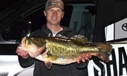 PWD Announces Genetic Results from 14.57 Pound Largemouth