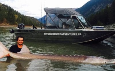 Remembering ‘Pig Nose,’ the 10-Foot, 700-Pound Sturgeon