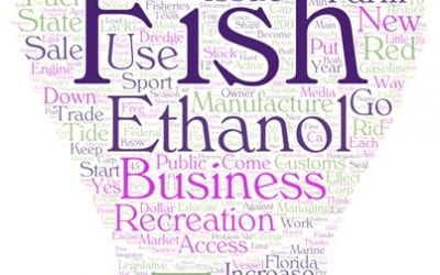 Results from NMMA Industry Policy Survey