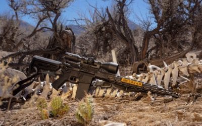 SIG SAUER M400 TREAD Rifle Offers More Affordable AR Platform