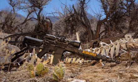 SIG SAUER M400 TREAD Rifle Offers More Affordable AR Platform