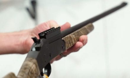 Stevens Has Transformed the .410 Into a Gobbler Gun With the 301 Turkey