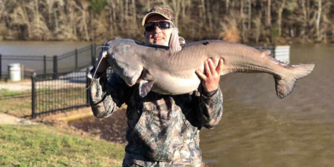 Tennessee Angler Pulls 50-Pound Catfish Out of 47-Acre Lake