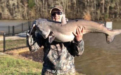 Tennessee Angler Pulls 50-Pound Catfish Out of 47-Acre Lake