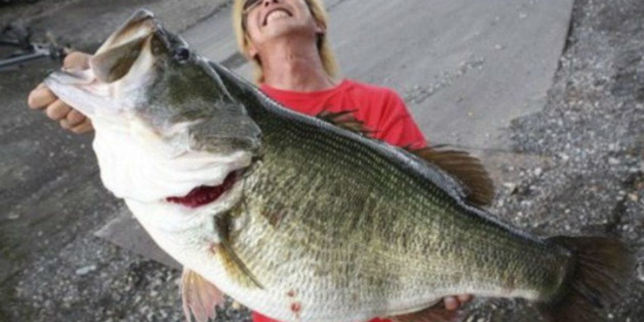 The 6 Most Likely Places the Next World Record Largemouth Bass Will Be Caught