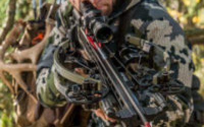 The Evolution of the Crossbow Nock