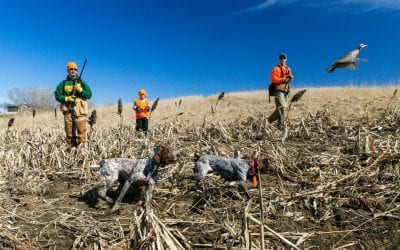 The Value of Controlled Hunts