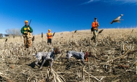 The Value of Controlled Hunts