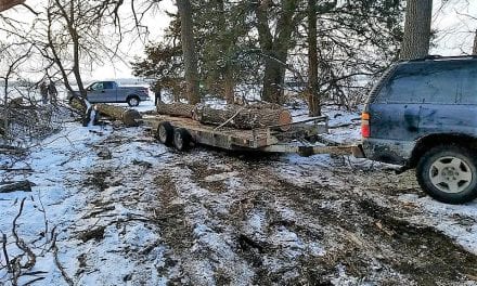 Theft of Black Walnut Trees