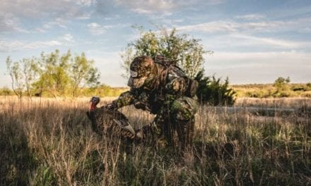Turkey Hunting Tips for When You Don’t Have a Lot of Time