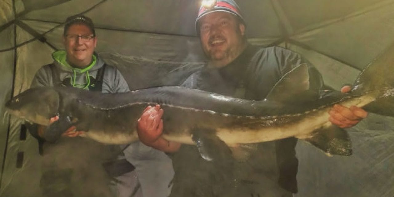 Video: Angler Pulls 120-Pound Sturgeon Through Minnesota Ice