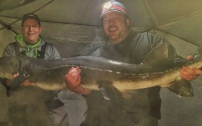 Video: Angler Pulls 120-Pound Sturgeon Through Minnesota Ice