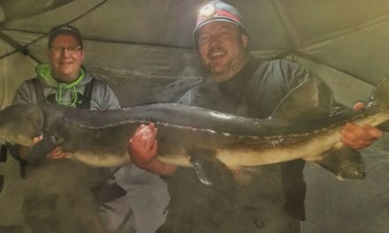 Video: Angler Pulls 120-Pound Sturgeon Through Minnesota Ice