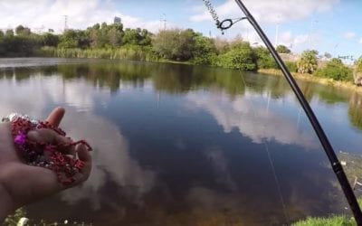 Video: Angler Uses DIY Lure Made From Valentine’s Day Decorations