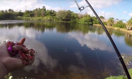 Video: Angler Uses DIY Lure Made From Valentine’s Day Decorations