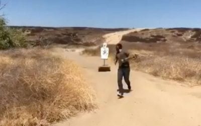 Video: Think You Could Hit a Target That Chases You?