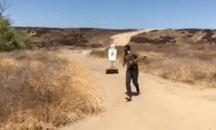 Video: Think You Could Hit a Target That Chases You?