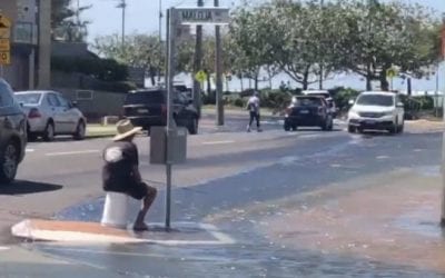 Video: Who Says You Need a Lake to Catch Fish?