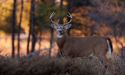 10 Great Hunting Books (Plus 1 More You’ll Hopefully Think is Great!)