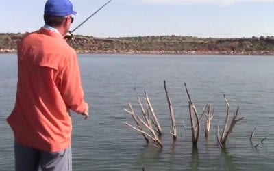 3 Keys to Finding Bass in Shallow Cover