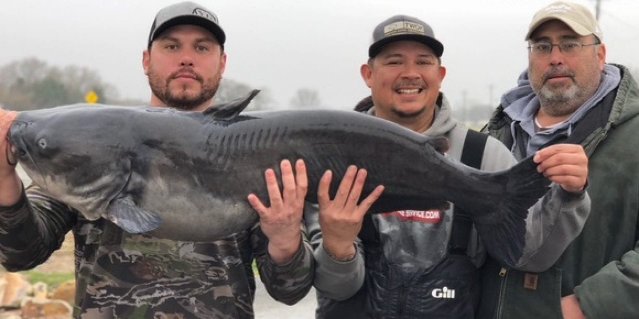47-Pound Channel Cat Makes The News