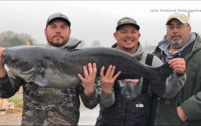 47-Pound Channel Cat Makes The News