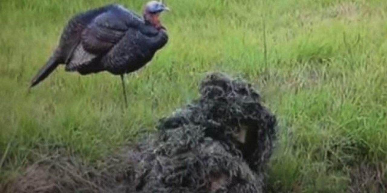 Does This Guy Really Think He Can Catch a Turkey With His Bare Hands?