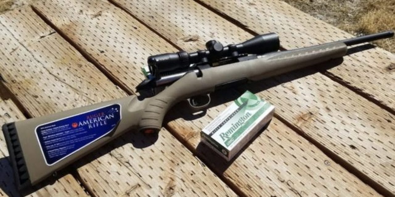 Everything You Need to Know About the Ruger American Ranch Rifle