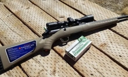 Everything You Need to Know About the Ruger American Ranch Rifle