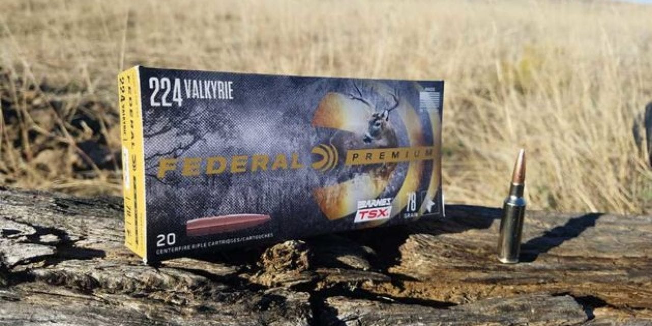 Federal Ammunition Brings Back Popular Loads for Barnes, Nosler, and Berger Fans