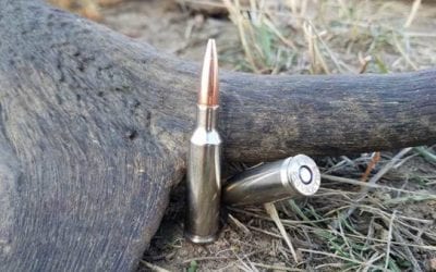 Federal’s 224 Valkyrie Lineup Keeps Growing