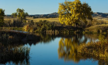 Fort Robinson Fishing Upgrades