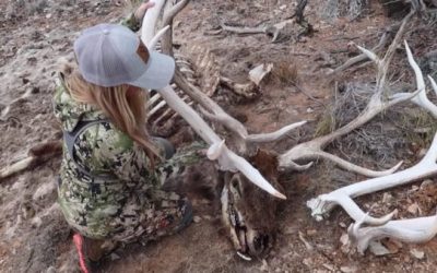 Hushin Crew Finds Single Shed, Set and Dead Head From the Same Bull