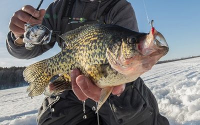 Improve Your Success During Late Ice