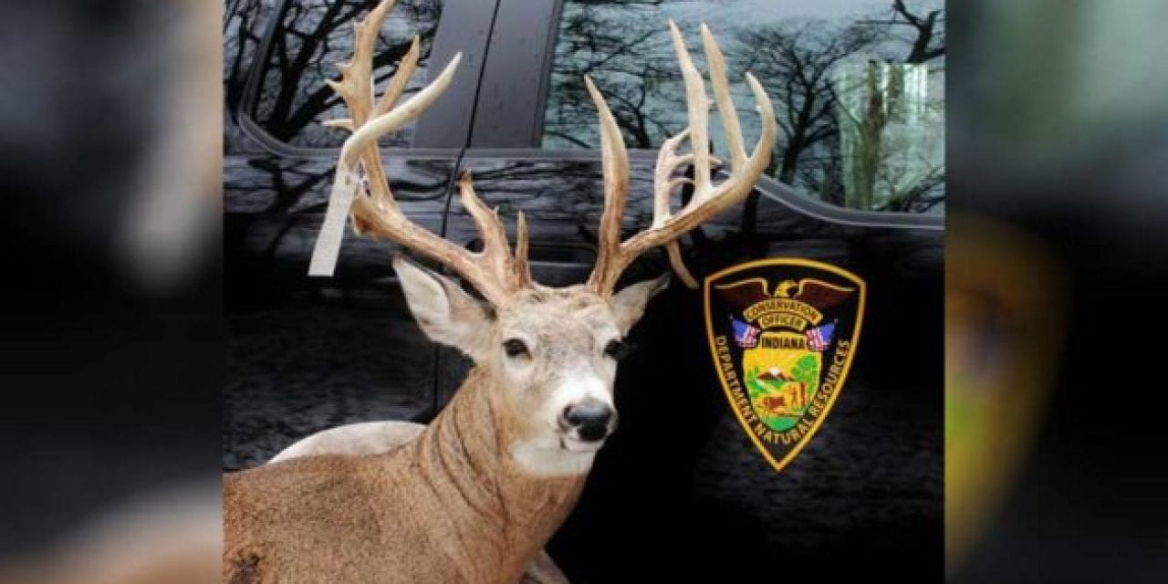 Indiana Man Hides Poached Buck in a Freezer for a Year and Gets Busted Anyway
