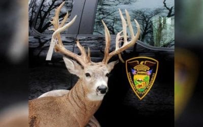 Indiana Man Hides Poached Buck in a Freezer for a Year and Gets Busted Anyway