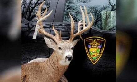 Indiana Man Hides Poached Buck in a Freezer for a Year and Gets Busted Anyway