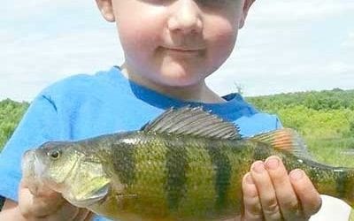 IOWA DNR – Perch, What Do I Need?