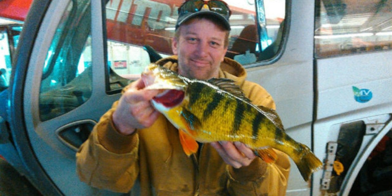 Iowa Perch Big Enough for State Record, But Some Disagree