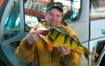 Iowa Perch Big Enough for State Record, But Some Disagree