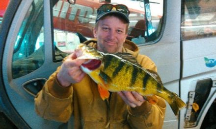 Iowa Perch Big Enough for State Record, But Some Disagree