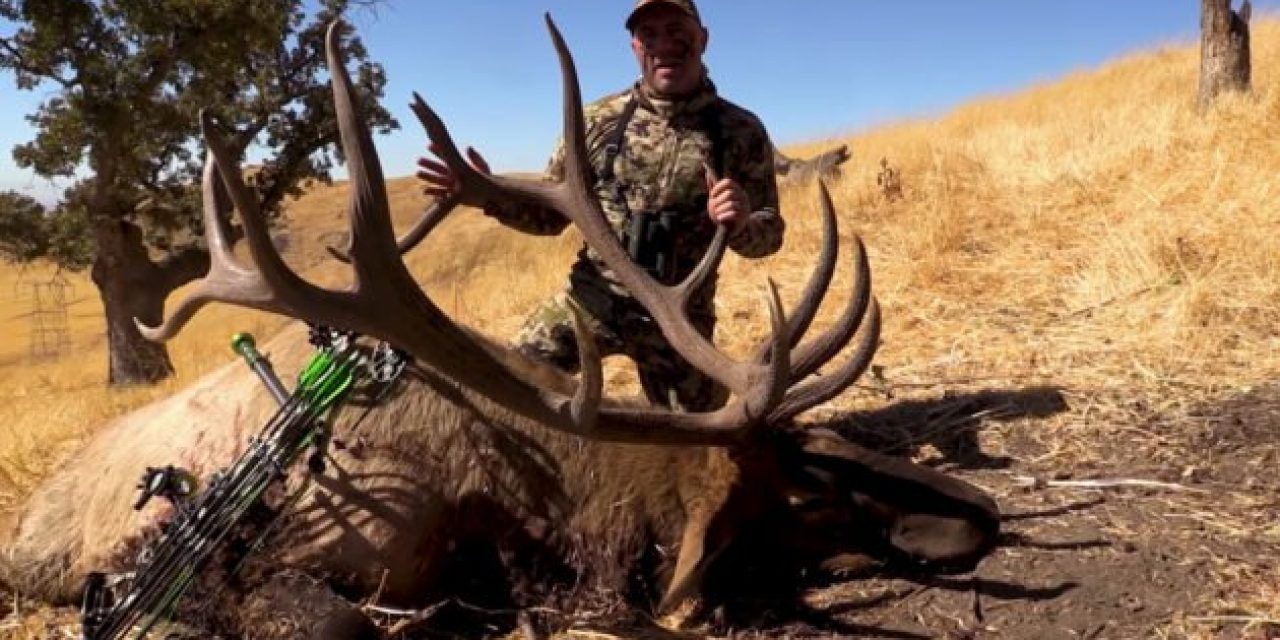 Joe Rogan Pokes Absolute Stud of an Elk From 75 Yards