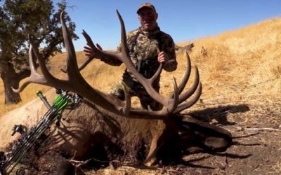 Joe Rogan Pokes Absolute Stud of an Elk From 75 Yards