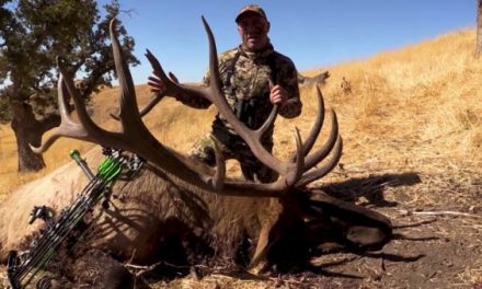 Joe Rogan Pokes Absolute Stud of an Elk From 75 Yards