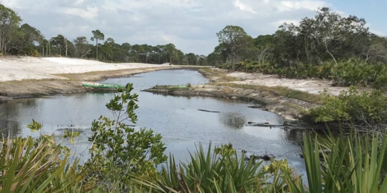 Juvenile Tarpon Habitat Connectivity