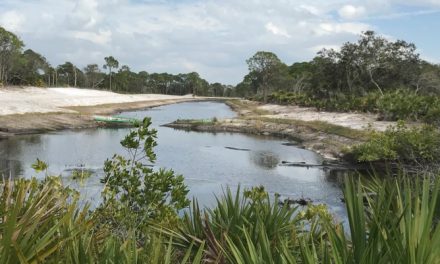 Juvenile Tarpon Habitat Connectivity