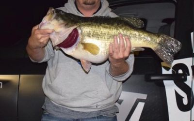 Lake Fork & Lake Conroe Serve Up Two Texas ShareLunkers