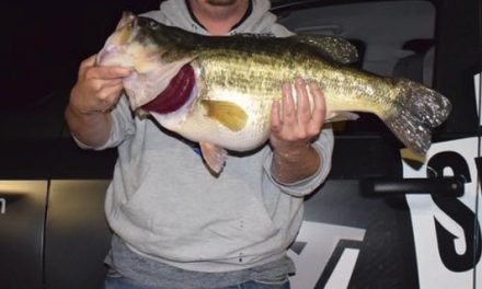 Lake Fork & Lake Conroe Serve Up Two Texas ShareLunkers