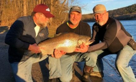 New Missouri State Record Brown Trout Obliterates Old Record