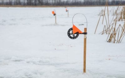 New York Angler Caught Attempting to Cheat in Fishing Derby